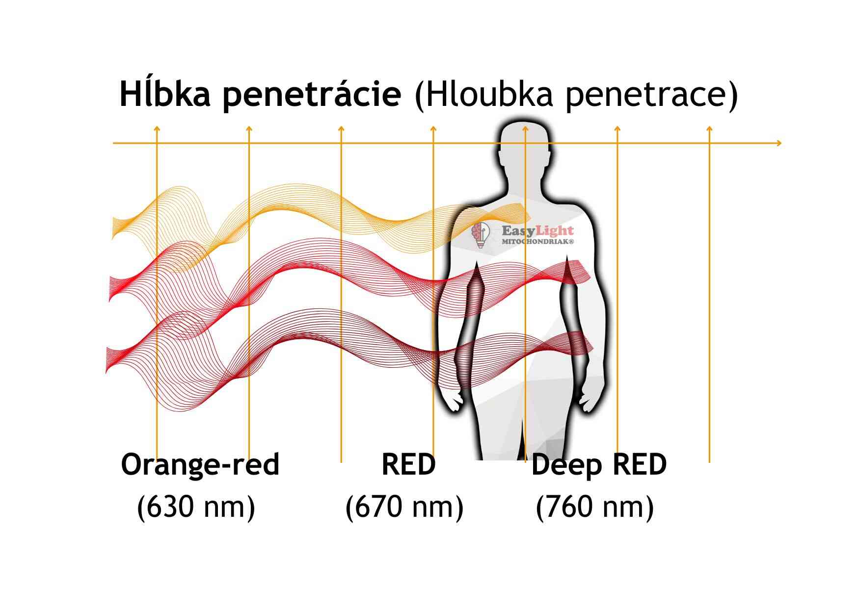 Maxi UVB, červené svetlo RED 630 a 670 nm, penetrácia niekoľko cm do tkanív